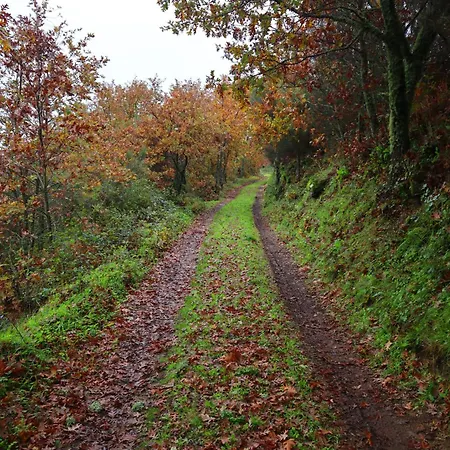 Casa Do Soito. Ferienhaus *